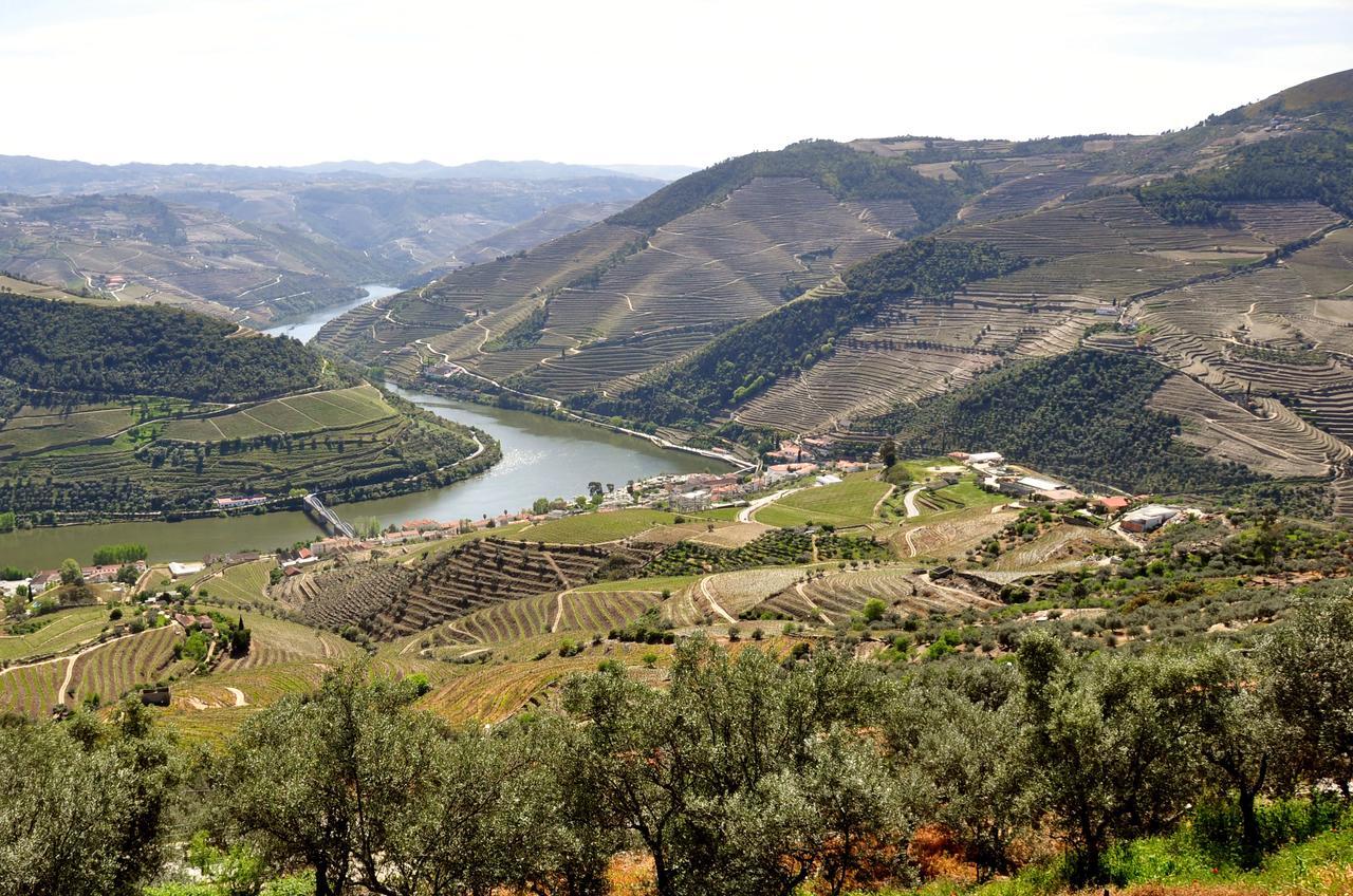 Hotel Ribadouro Alijó Exteriör bild